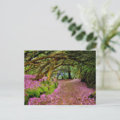 Kenmare Fairy Road Briefkaart (Staand voorkant)