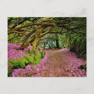 Kenmare Fairy Road Briefkaart