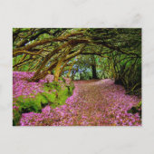 Kenmare Fairy Road Briefkaart (Voorkant)