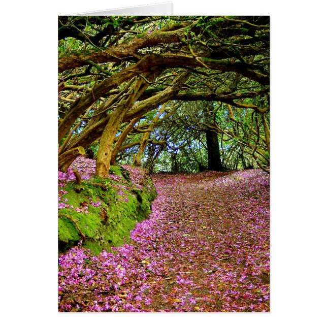 Kenmare Ireland (Voorkant)