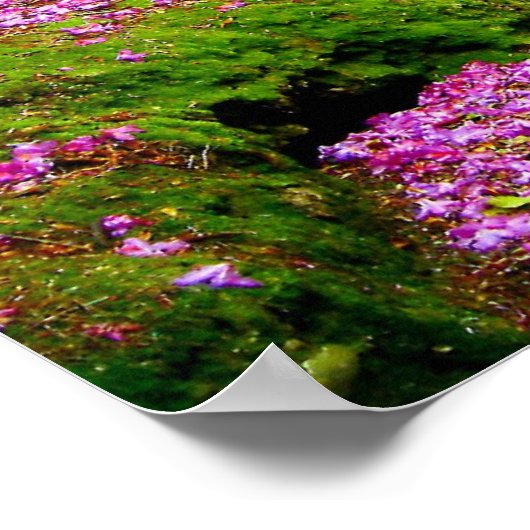 Kenmare Rhododendron Tunnel - De.. - Gepersonalise Poster (Hoek)