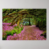 Kenmare Rhododendron Tunnel - De.. - Gepersonalise Poster (Voorkant)