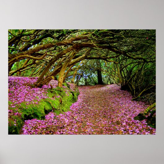 Kenmare Rhododendron Tunnel - De.. - Gepersonalise Poster (Voorkant)