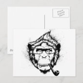Kenmerk Chimp Briefkaart (Voorkant / Achterkant)