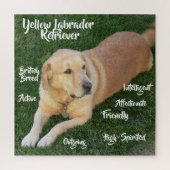 Kenmerken van de gele Labrador Retriever spel Legpuzzel (Verticaal)