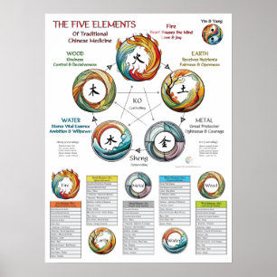 Kenmerken van de Vijf Elementen TCM Poster