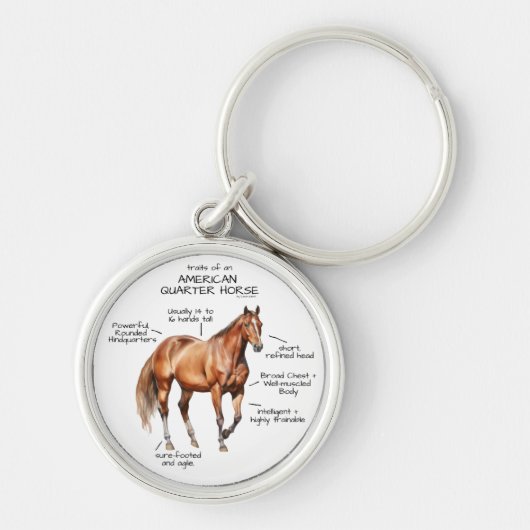 Kenmerken van een American Quarter Horse Sleutelhanger (Voorkant)