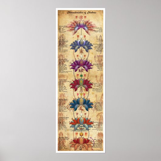 Kenmerken van kras - Contrastieve stijl Poster (Voorkant)