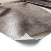 Kennedy Brothers, President John, Robert & Ted Foto Afdruk (Hoek)