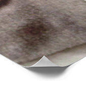 Kennedy Brothers, President John, Robert & Ted Poster (Hoek)