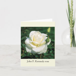 Kennedy roos note card bedankkaart