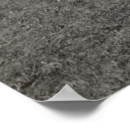 Kennedy Wedding Poster (Hoek)