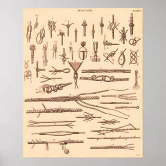  kennis en rijping poster