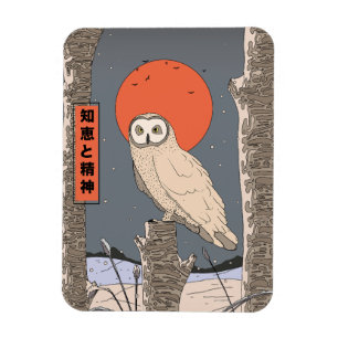 Kennis en wijsheid magneet