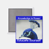 Kennis is Power magneet (Voorkant / Achterkant)