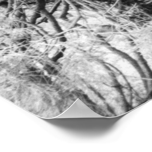 Kennis Poster (Hoek)