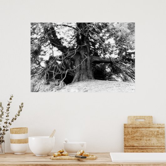 Kennis Poster (Keuken)