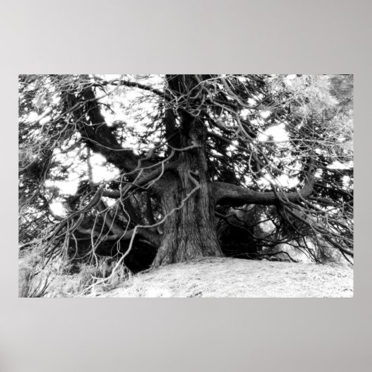 Kennis Poster (Voorkant)