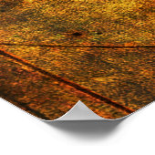 Kennis zoeken poster (Hoek)