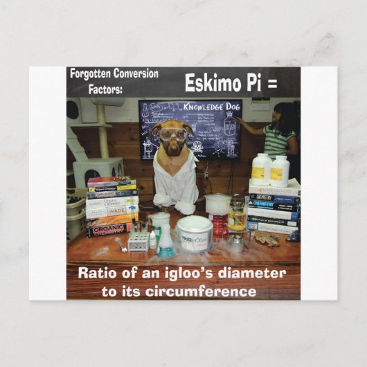 Kennisbank vergeten conversies Eskimo Pi Briefkaart (Voorkant)