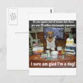 Kennishond microscopische organismen op de huid briefkaart (Voorkant / Achterkant)