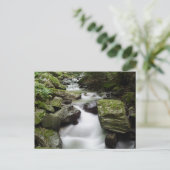 Kenny Creek Herfsten Briefkaart (Staand voorkant)