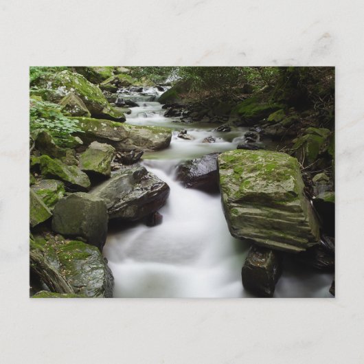 Kenny Creek Herfsten Briefkaart (Voorkant)