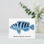 Kennyi African Cichlid Briefkaart (Staand voorkant)