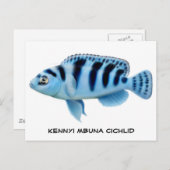 Kennyi African Cichlid Briefkaart (Voorkant / Achterkant)