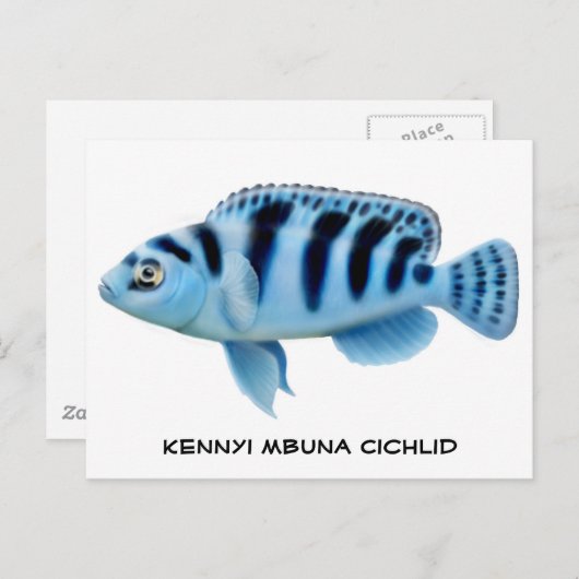 Kennyi African Cichlid Briefkaart (Voorkant / Achterkant)