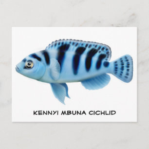 Kennyi African Cichlid Briefkaart