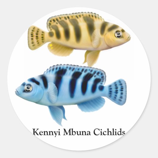 Kennyi African Rift Lake Cichlids Sticker (Voorkant)