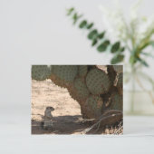 Kenny's ritter briefkaart (Staand voorkant)