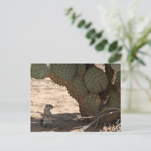 Kenny's ritter briefkaart (Staand voorkant)