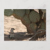 Kenny's ritter briefkaart (Voorkant)