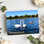 Kensignton Gardens Pond | Koninklijk Park LONDON U Briefkaart<br><div class="desc">Mooie twee witte zwanen zwemmen in de ronde vijver in Kensington Gardens Royal Park Londen UK - briefkaart fotografie - september 2019 - foto van Anka</div>