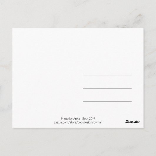 Kensignton Gardens Pond | Koninklijk Park LONDON U Briefkaart (Achterkant)