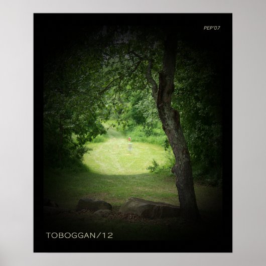 Kensington Toboggan #12 Poster (Voorkant)