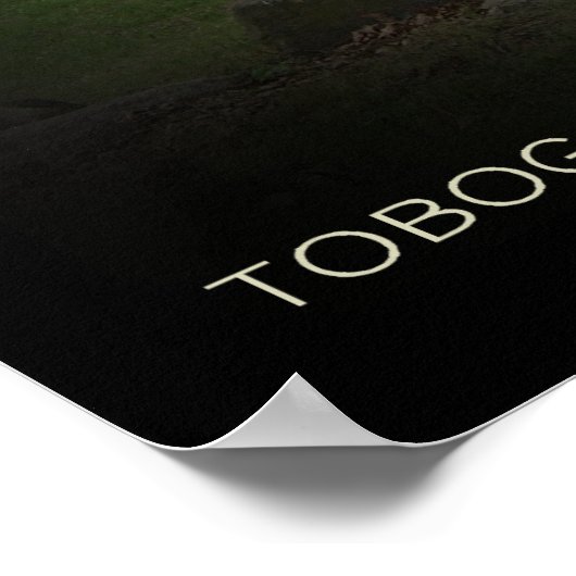 Kensington Toboggan #12 Poster (Hoek)