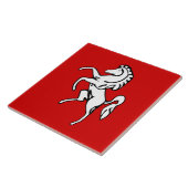 Kent County Flag Tegel Tegeltje (Zijkant)