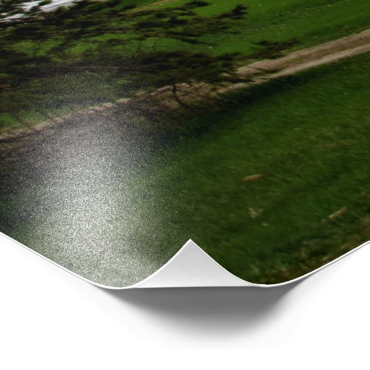 Kent Green Foto Afdruk (Hoek)