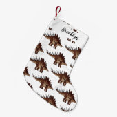 Kentrosaurus cartoon illustratie kleine kerstsok (Voorkant (Hangend))