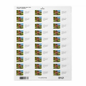 Kentrosaurus Dinosaur Jungle Prehistorische Kunst Etiket (Full Sheet)