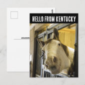 KENTUCCKY PAARD LACHENDE FUNNY POSTKAART (Voorkant / Achterkant)