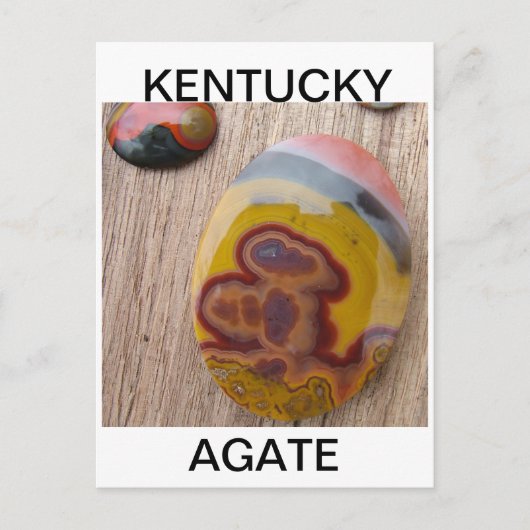 Kentucky Agate voor rockhounds Briefkaart (Voorkant)