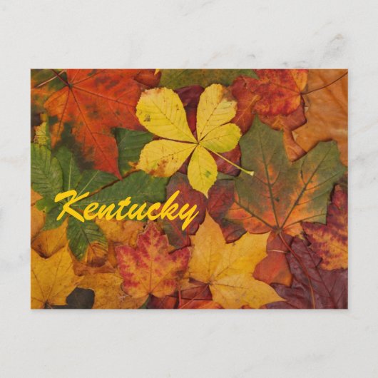 Kentucky Autumn Leaves Briefkaart (Voorkant)