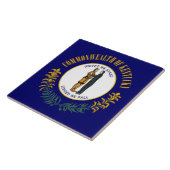 Kentucky: Blauwgras Gemenebest Amerikaanse staatsv Tegeltje (Zijkant)