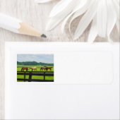 Kentucky Bluegrass adresetiketten Etiket (Insitu)