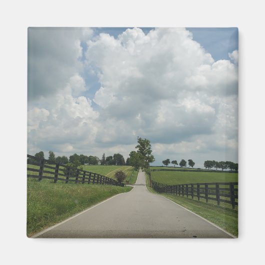Kentucky Bluegrass magneet (Voorkant)