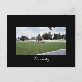 Kentucky Briefkaart